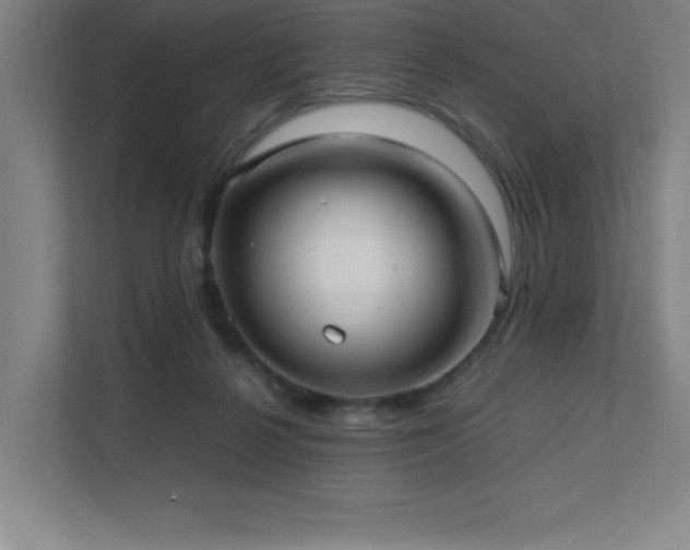 X0000111390264200907101152