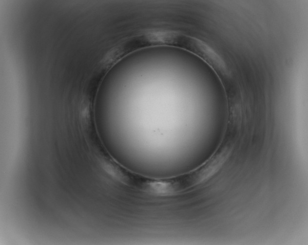 X0000111390265200907101152