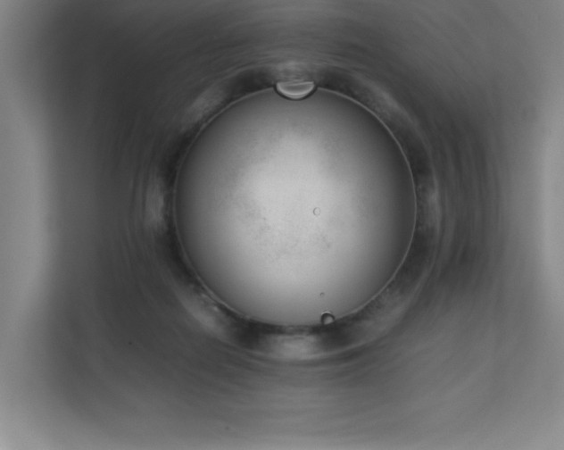 X0000111390266200907101152