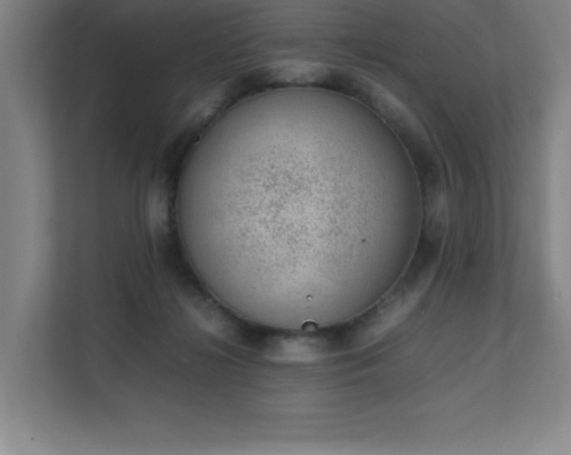 X0000111390268200907101152