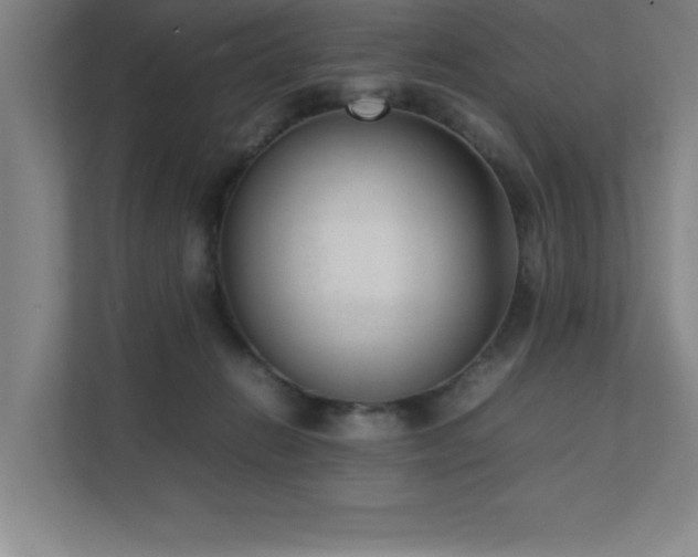 X0000111390270200907101152