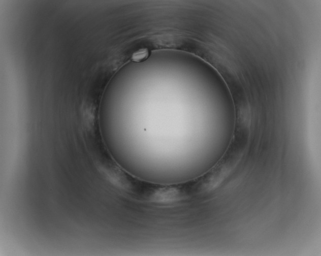 X0000111390271200907101152