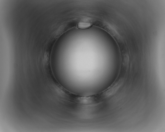 X0000111390273200907101152