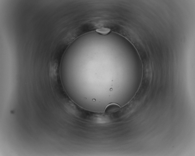 X0000111390275200907101152