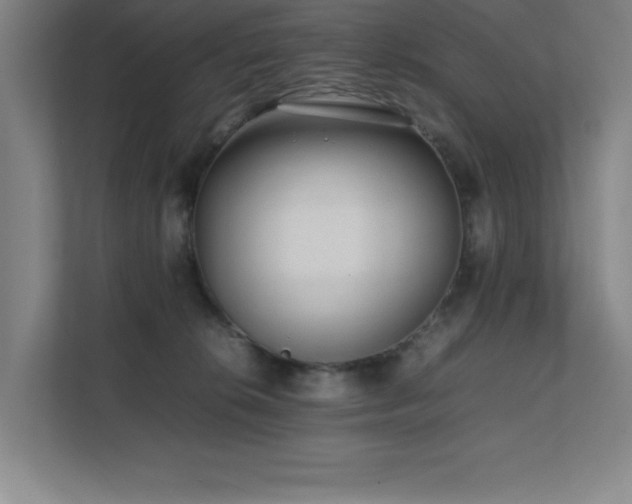 X0000111390276200907101152