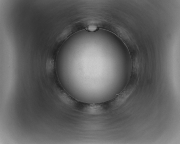 X0000111390278200907101152