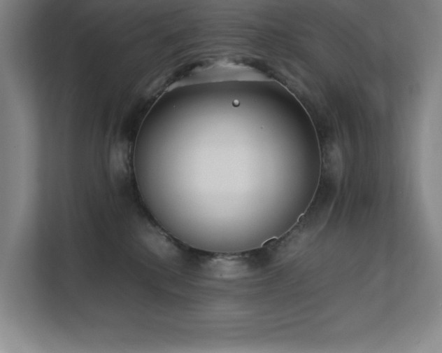 X0000111390280200907101153