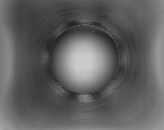 X0000111390281200907101153