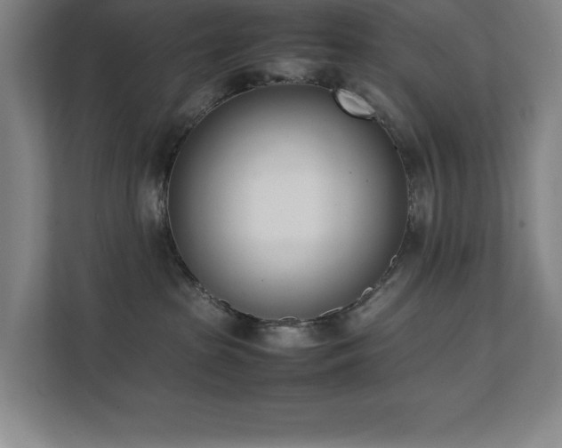 X0000111390285200907101153