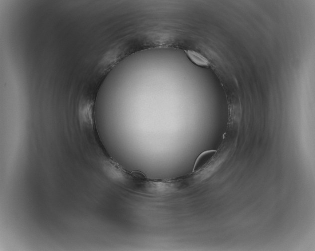 X0000111390286200907101153