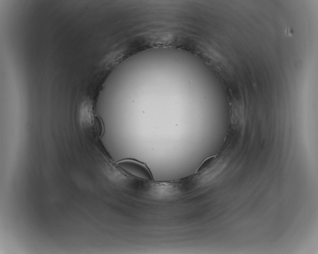 X0000111390287200907101153