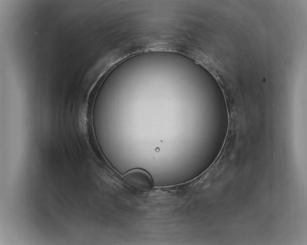 X0000111390290200907101152