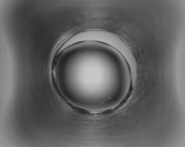 X0000111390293200907101152