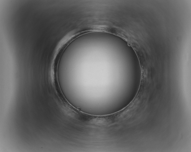 X0000111390294200907101152