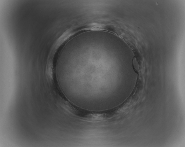 X0000111390295200907101152