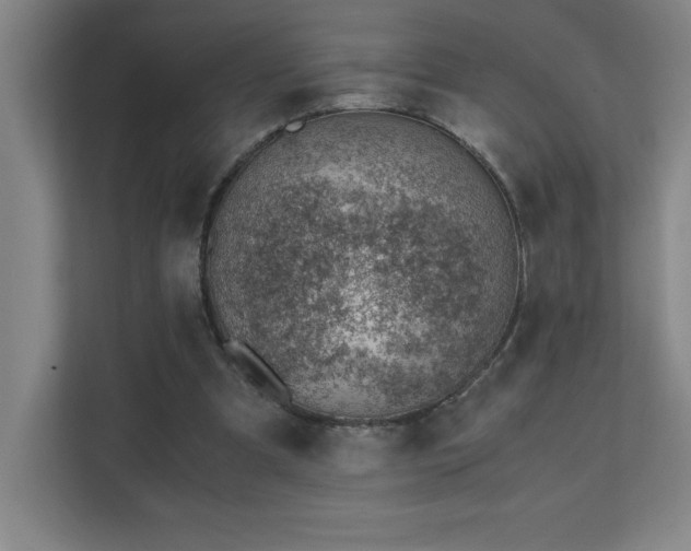 X0000111390297200907101152