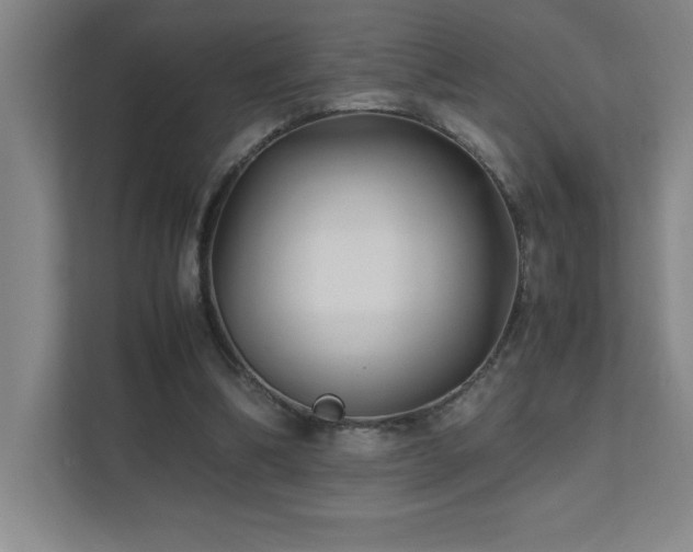 X0000111390298200907101152