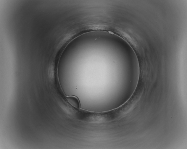 X0000111390299200907101152