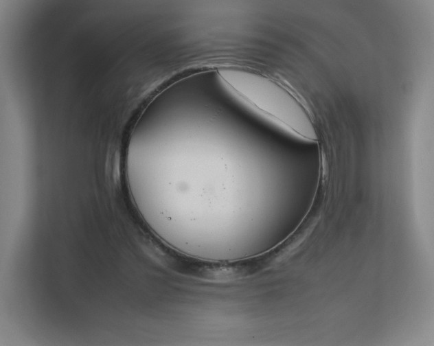 X0000111390301200907101152