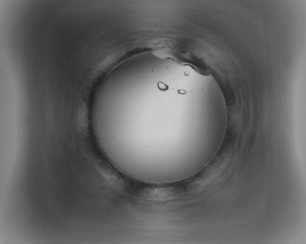 X0000111390303200907101152