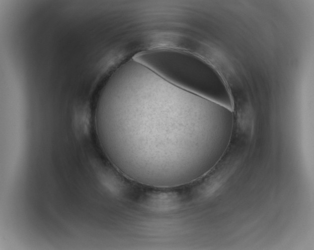 X0000111390304200907101152