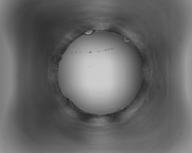 X0000111390307200907101152