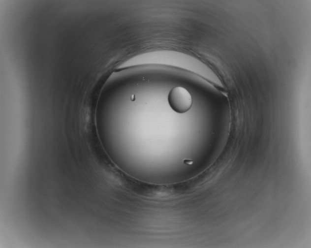 X0000111390308200907101152