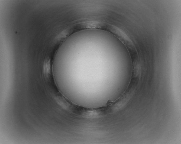 X0000111390310200907101152