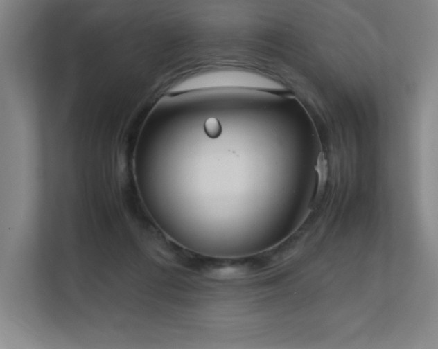 X0000111390312200907101152