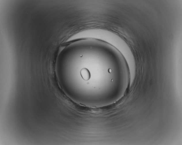 X0000111390317200907101152