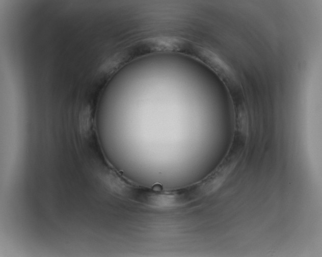 X0000111390318200907101152