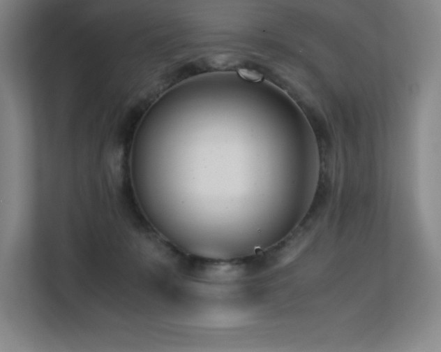 X0000111390319200907101152