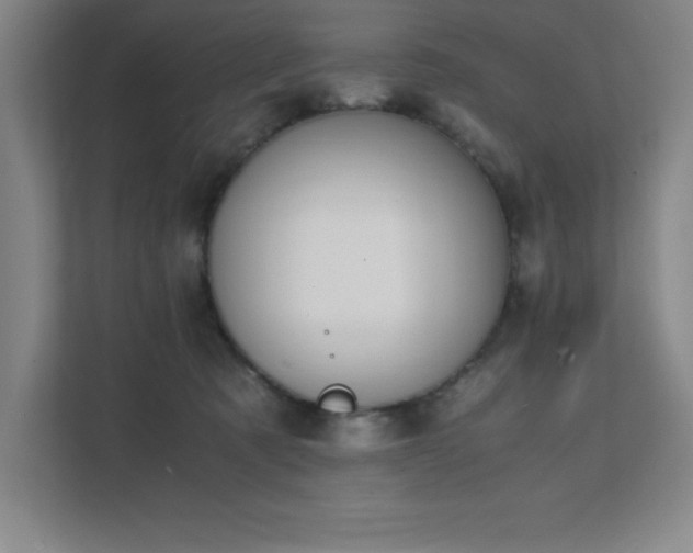 X0000111390321200907101152