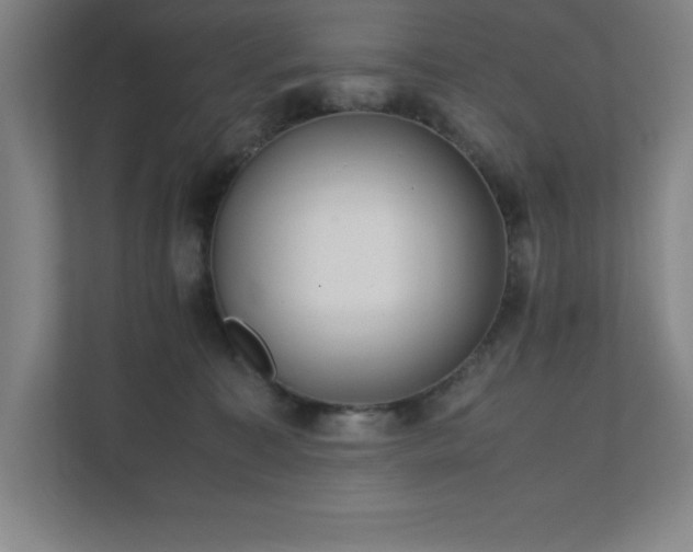 X0000111390323200907101152