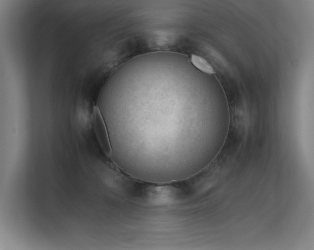 X0000111390324200907101152