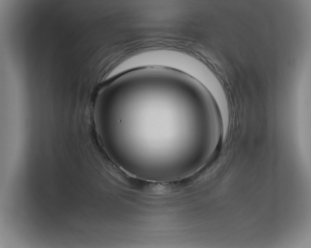 X0000111390325200907101152