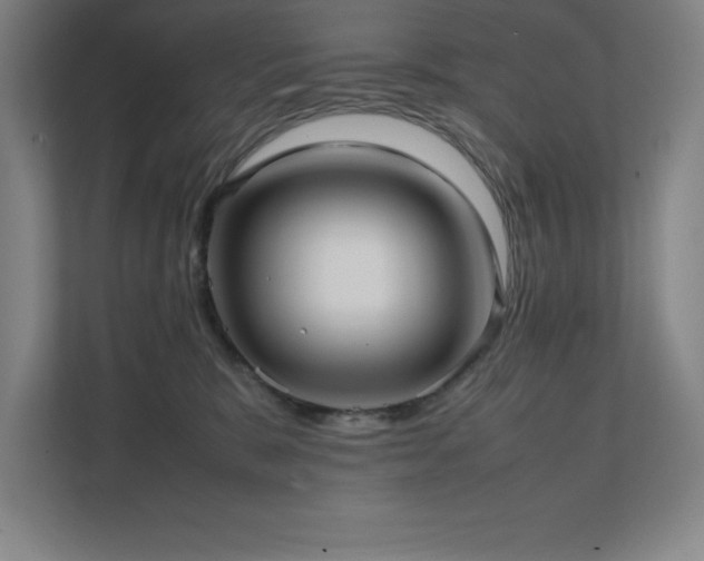 X0000111390327200907101152