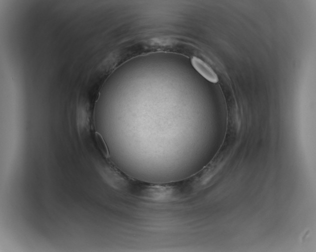 X0000111390328200907101151