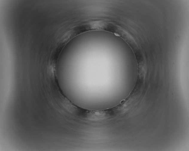 X0000111390329200907101151