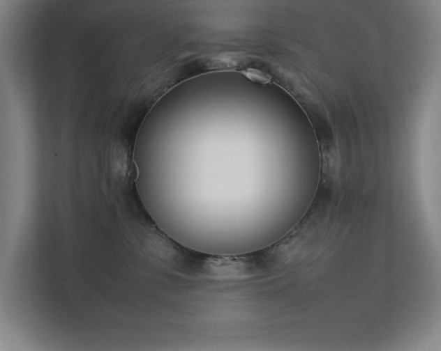 X0000111390331200907101151