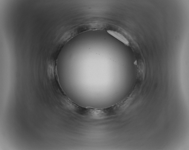 X0000111390333200907101151