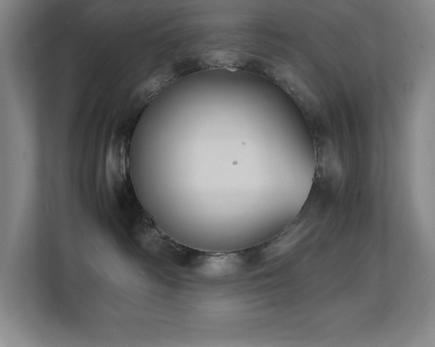 X0000111390334200907101151