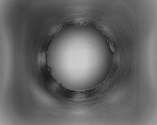 X0000111390335200907101151