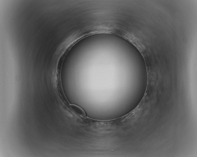 X0000111390338200907101151