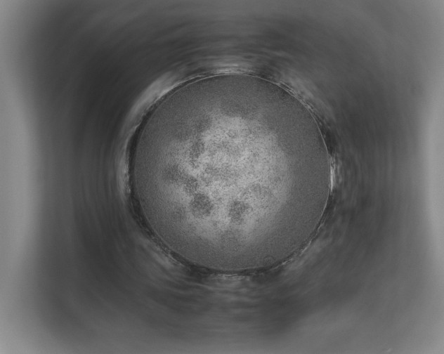 X0000111390339200907101151