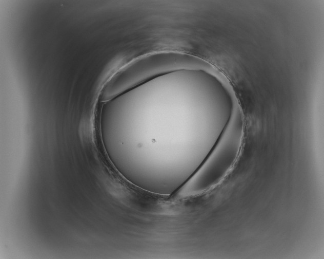 X0000111390340200907101151