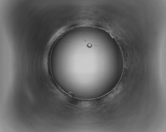 X0000111390341200907101151