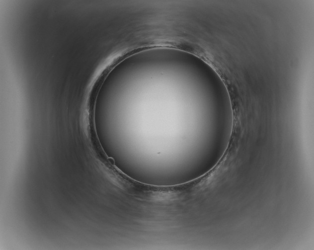 X0000111390342200907101151