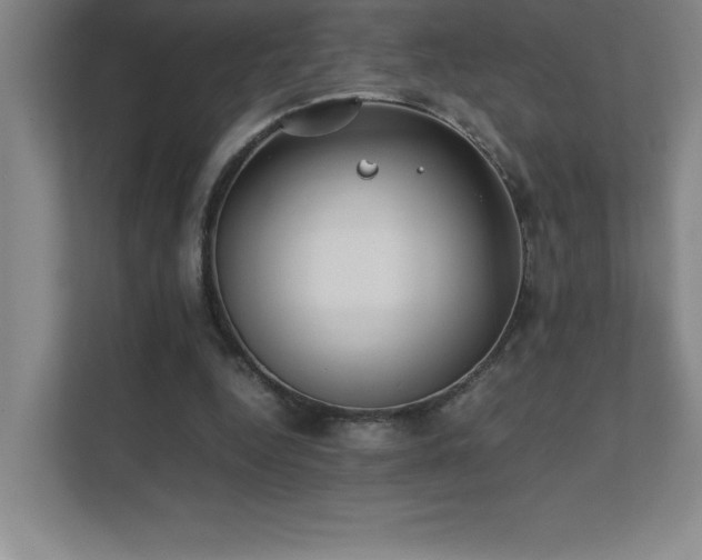 X0000111390344200907101151