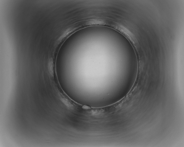 X0000111390345200907101151